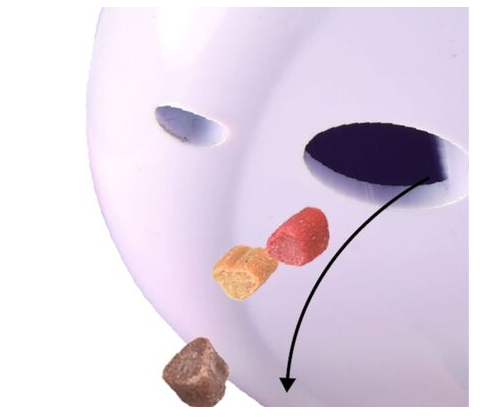 Miniatura 4 de Juguete Gato Electrónico 3 en 1